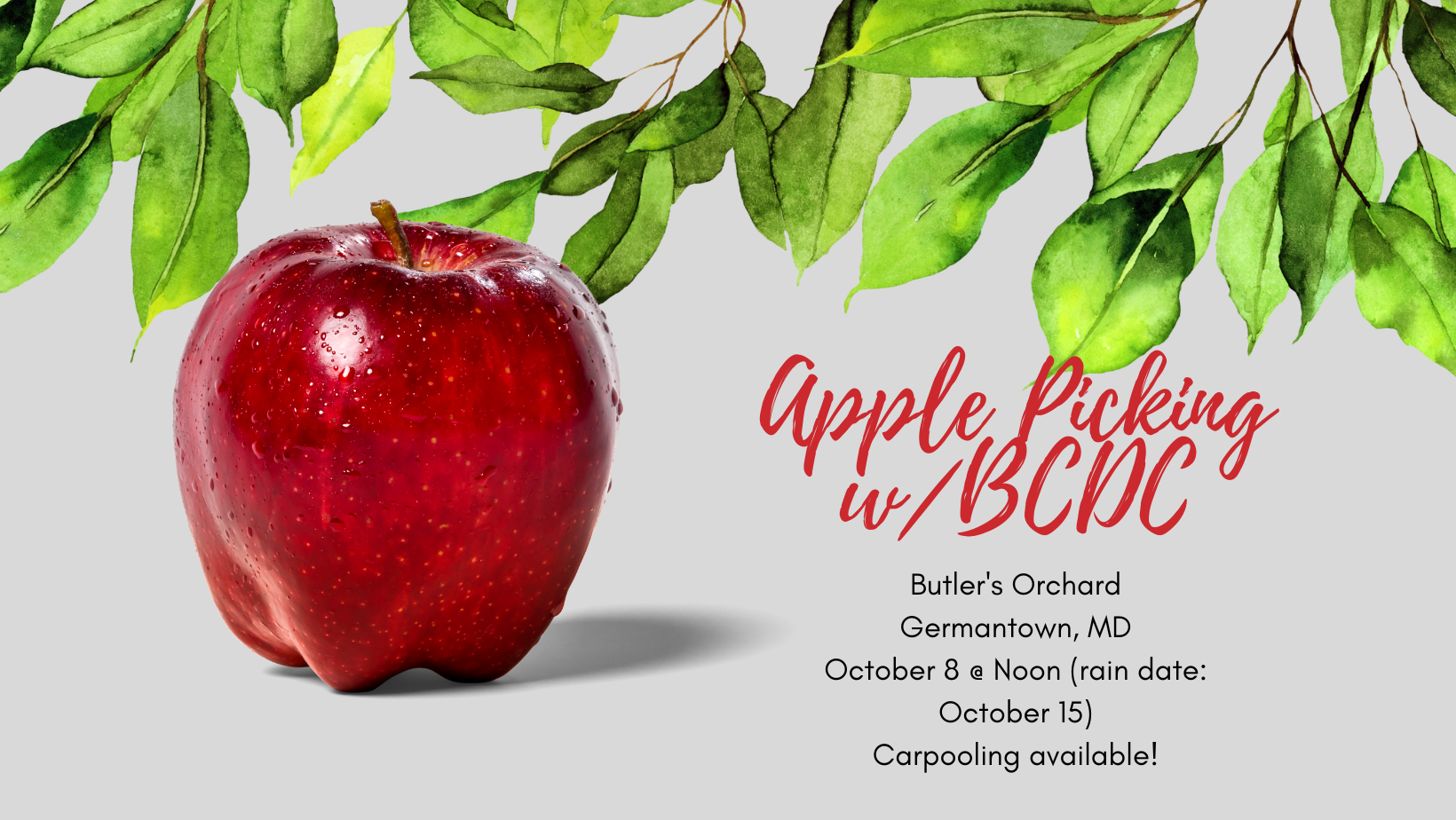 Apple Picking @ Doc Waters Orchard (10/8)
