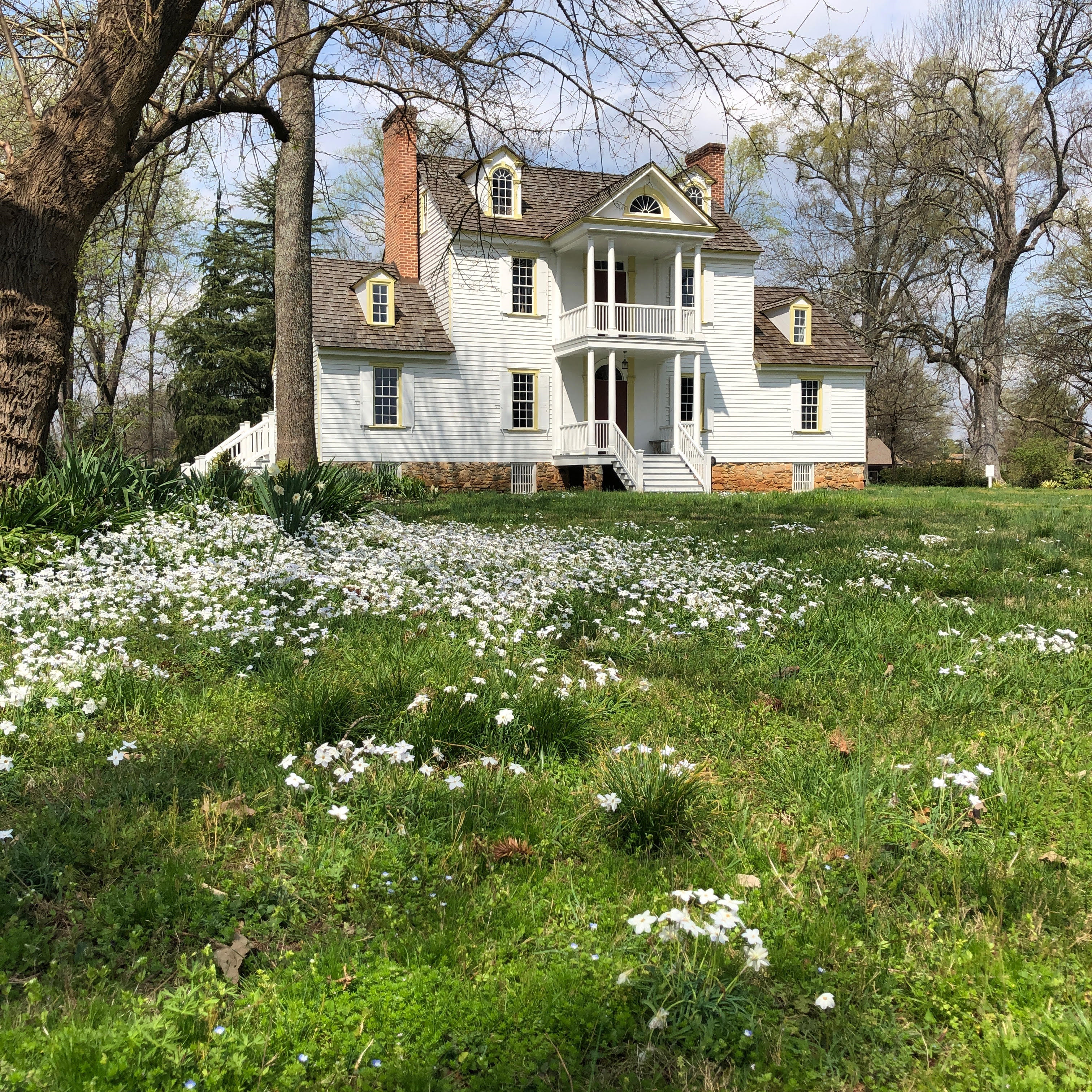 Visit Historic Rosedale: A Hidden Charlotte Gem