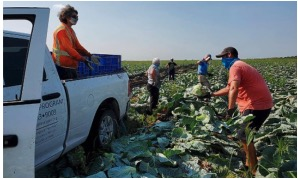 Community Service Activity with Brown Club of Palm Beach County