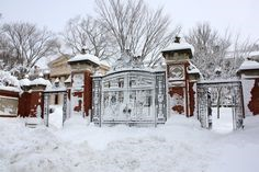 Annual Winter Party