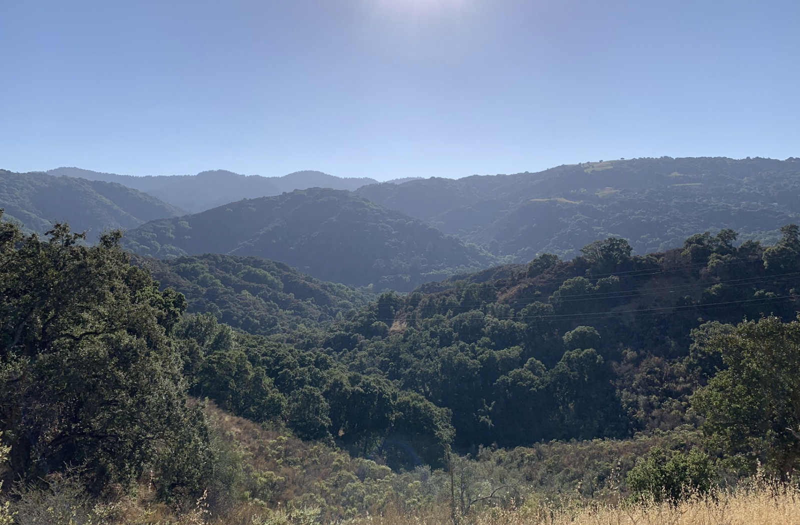 Stevens Canyon Trail Hike